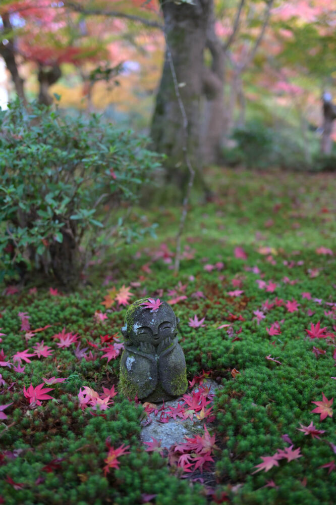 圓光寺 十牛之庭わらべ地蔵の紅葉