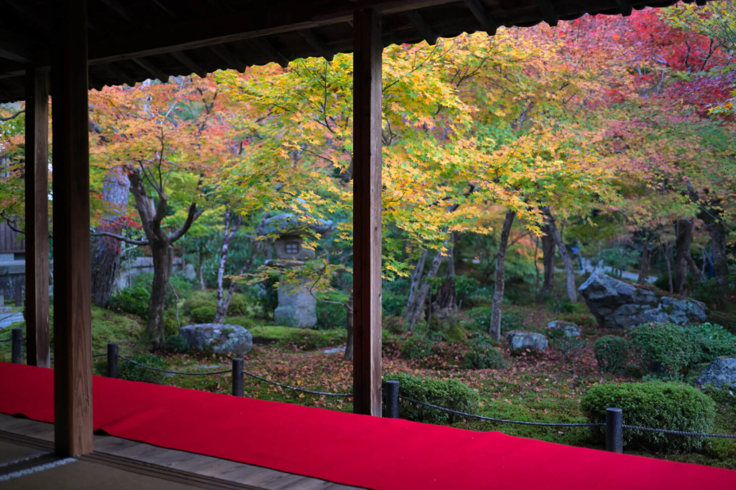 圓光寺 十牛之庭の額縁紅葉