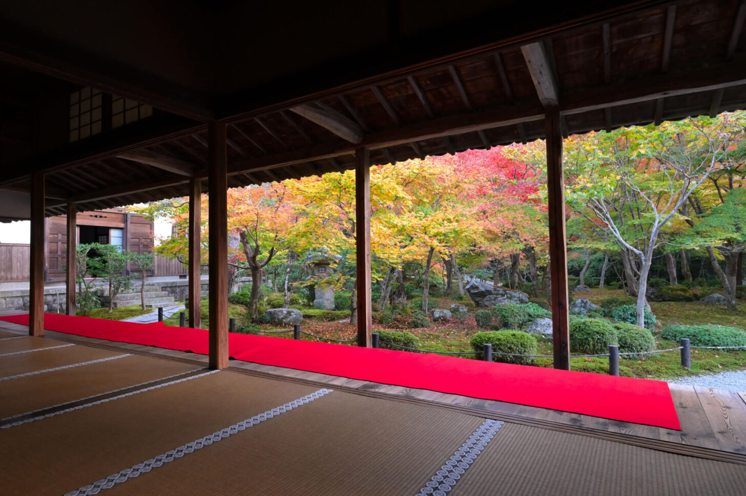 圓光寺 十牛之庭の額縁紅葉