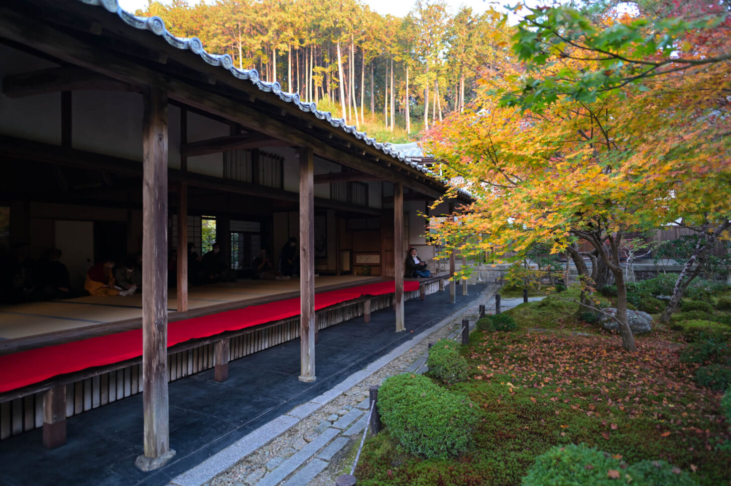 圓光寺 十牛之庭の紅葉