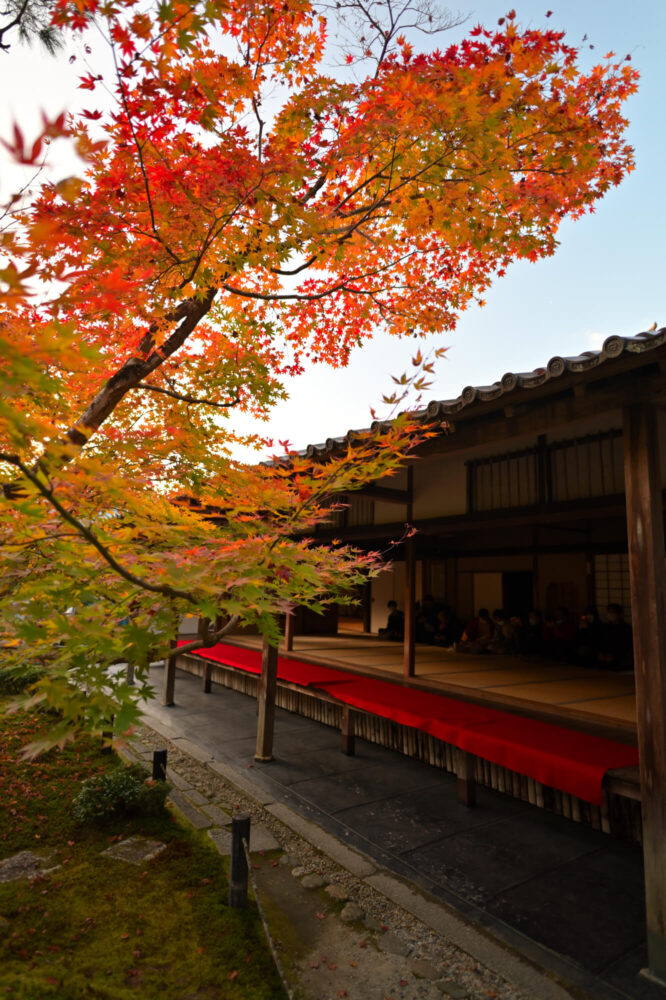 圓光寺 十牛之庭の紅葉