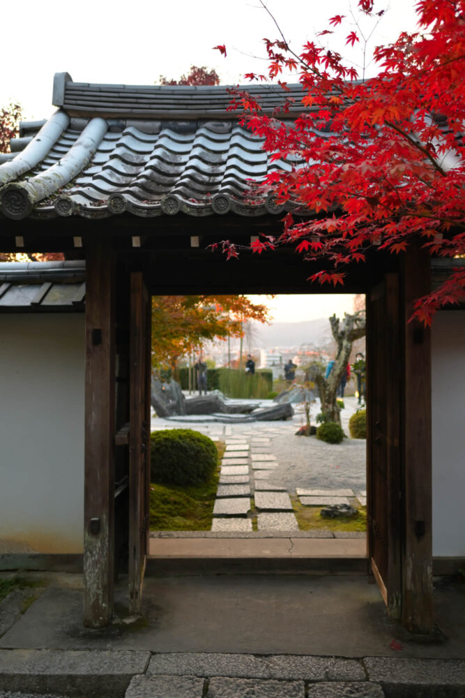 圓光寺 境内の紅葉