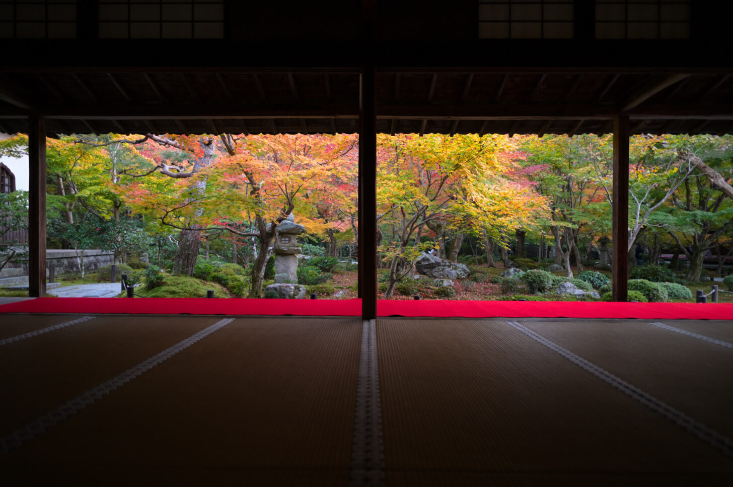 圓光寺 十牛之庭の額縁紅葉