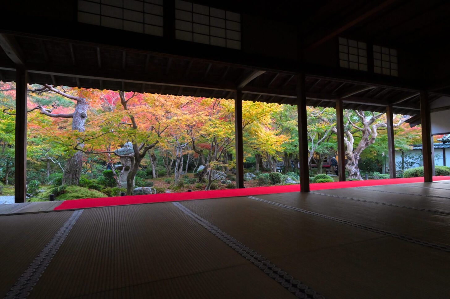 圓光寺 十牛之庭の額縁紅葉