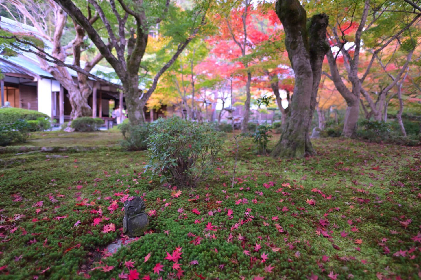 圓光寺 十牛之庭わらべ地蔵の紅葉