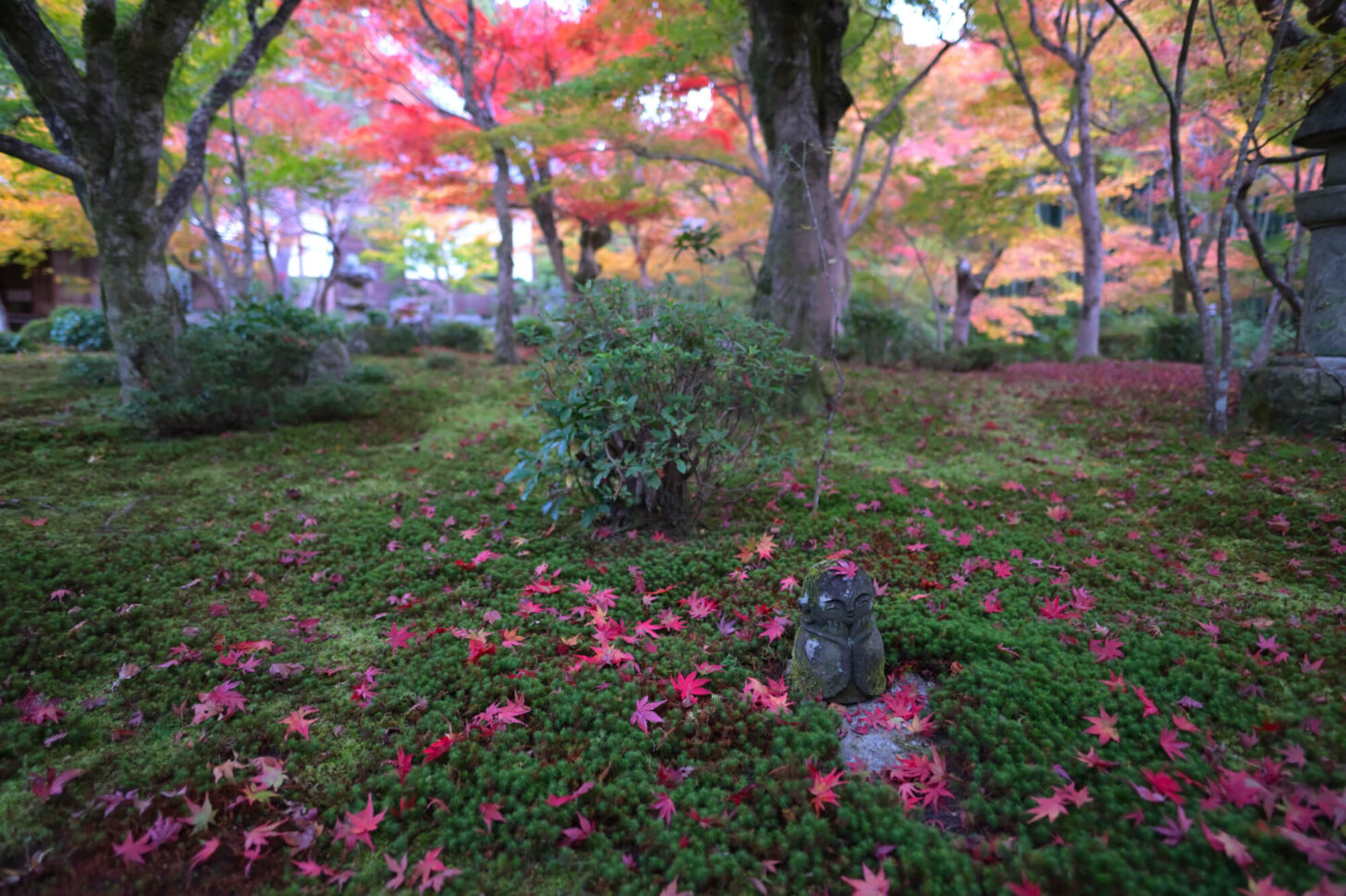 圓光寺 十牛之庭わらべ地蔵の紅葉