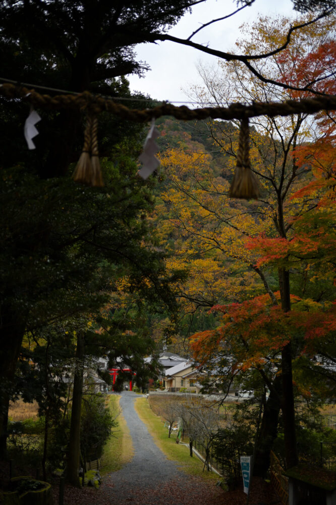 八瀬天満宮社の紅葉