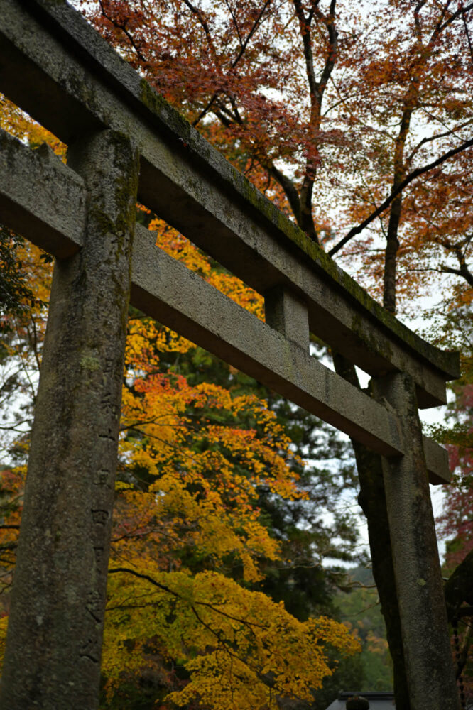 八瀬天満宮社の紅葉