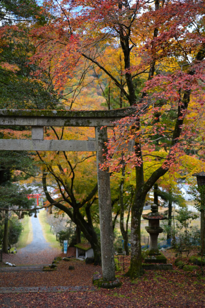 八瀬天満宮社の紅葉