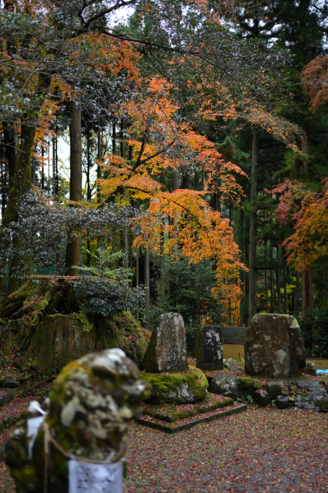 八瀬天満宮社の紅葉