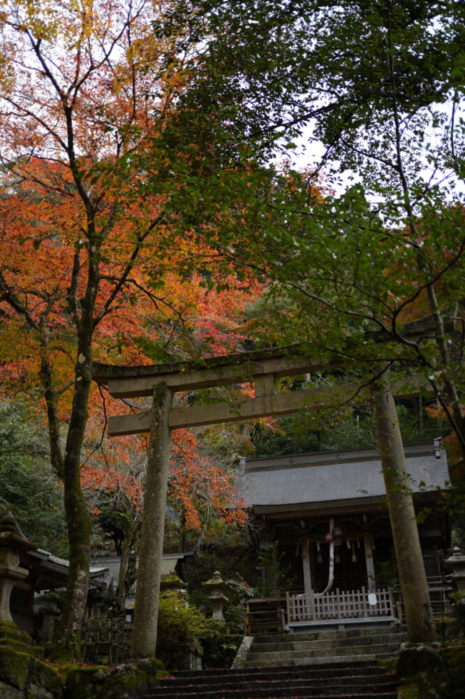 八瀬天満宮社の紅葉