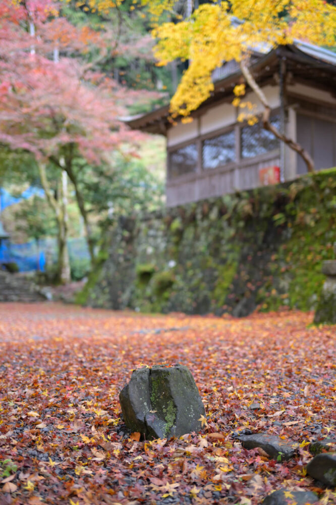 八瀬天満宮社の紅葉