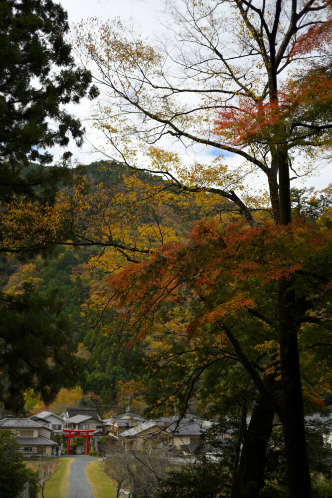 八瀬天満宮社の紅葉