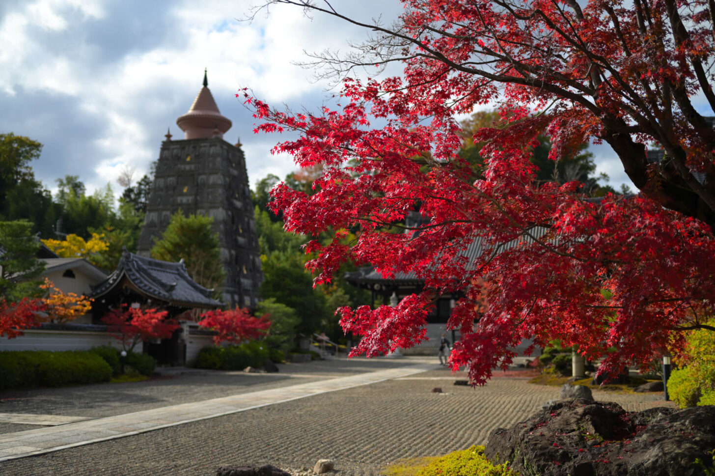 妙満寺の紅葉