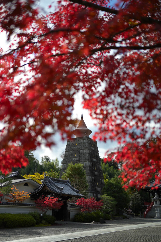 妙満寺 仏舎利大塔と紅葉