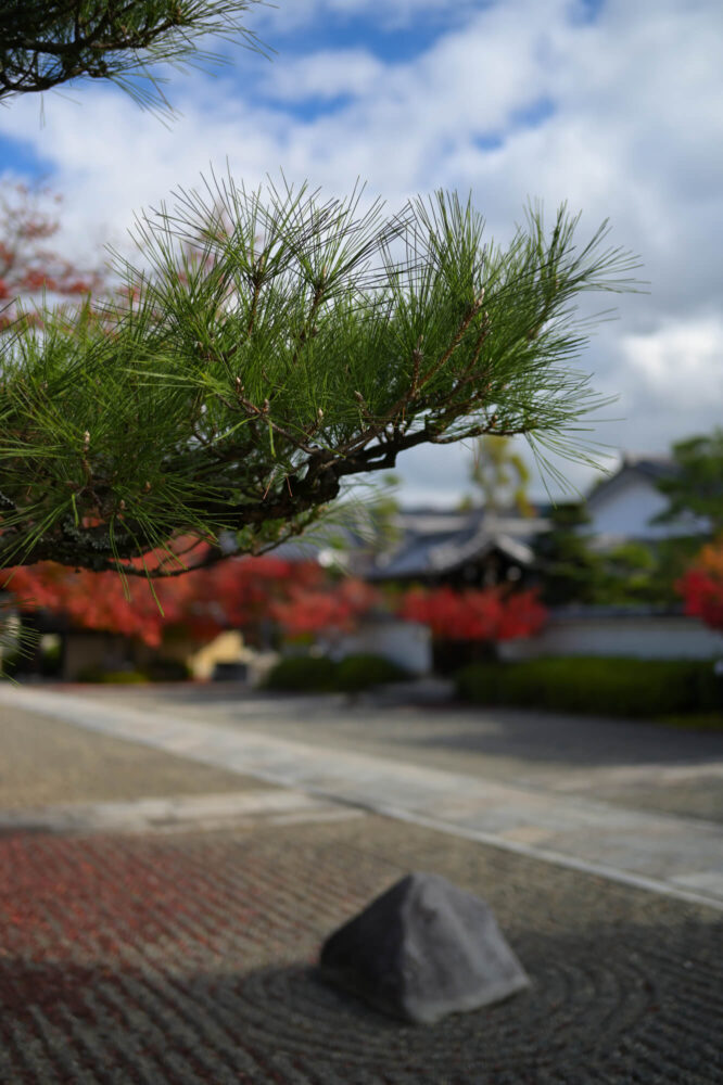 妙満寺 境内の紅葉