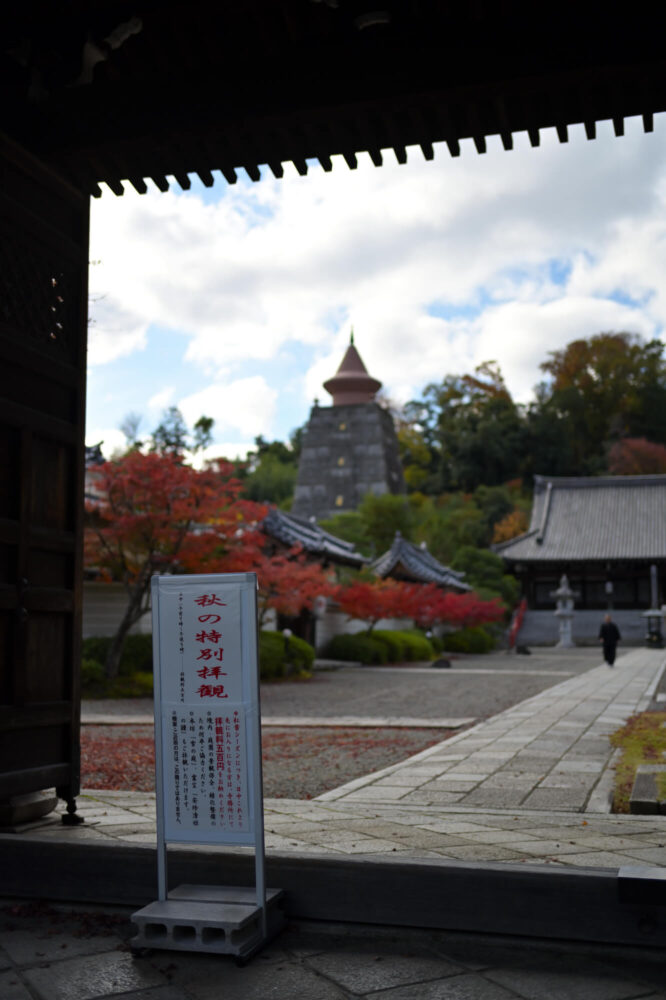 山門から見る妙満寺の紅葉