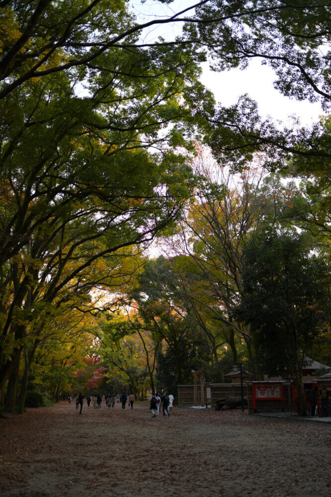 下鴨神社 糺の森の紅葉