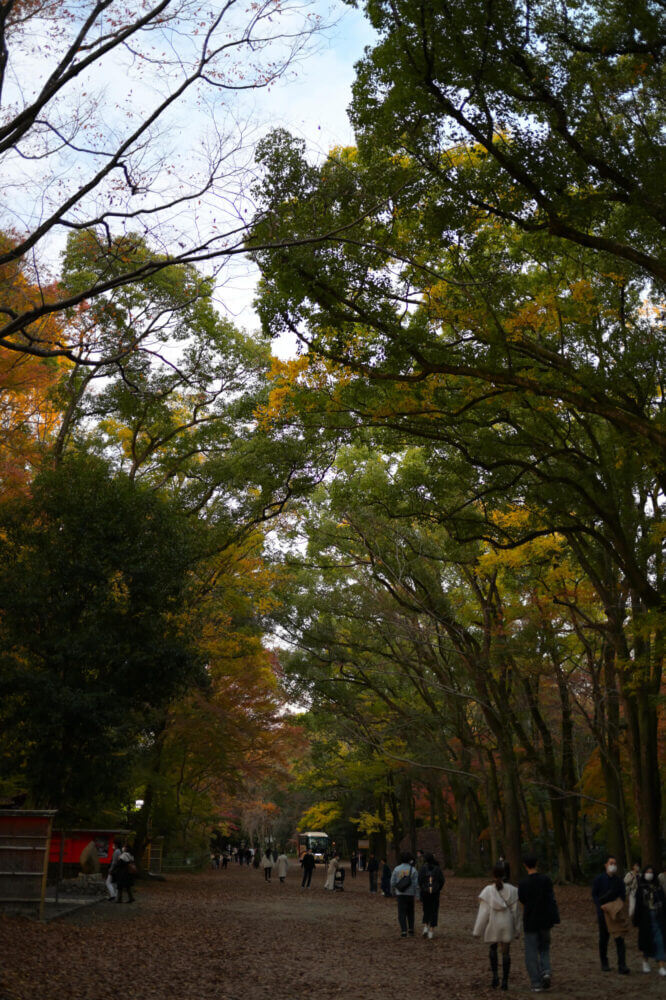 下鴨神社 糺の森の紅葉