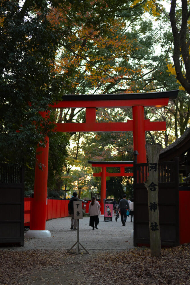 下鴨神社 糺の森の紅葉