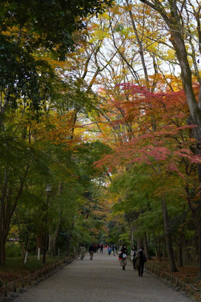 下鴨神社 糺の森の紅葉