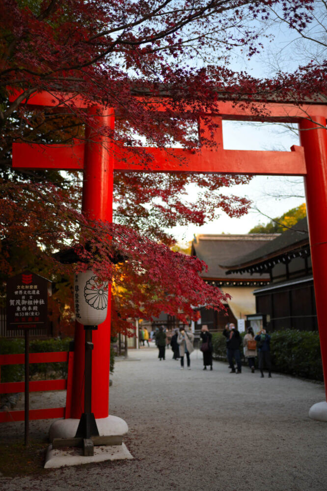 下鴨神社 西参道鳥居の紅葉