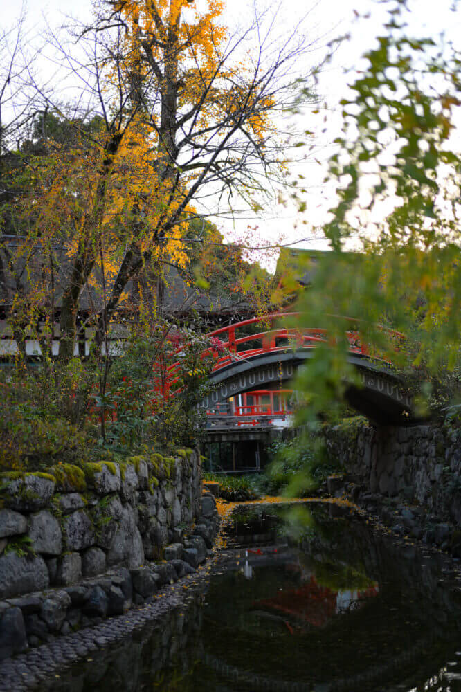 下鴨神社 御手洗池