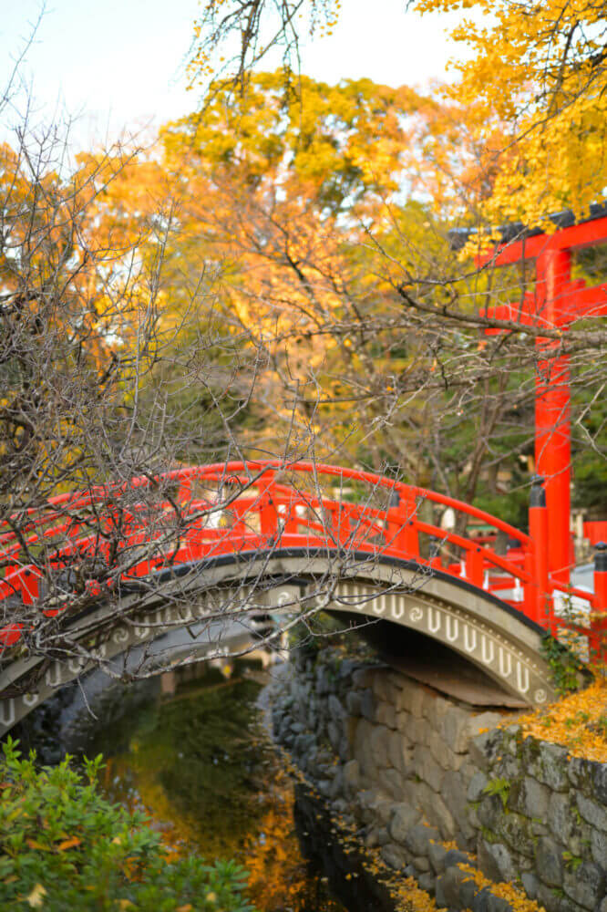 下鴨神社 御手洗池