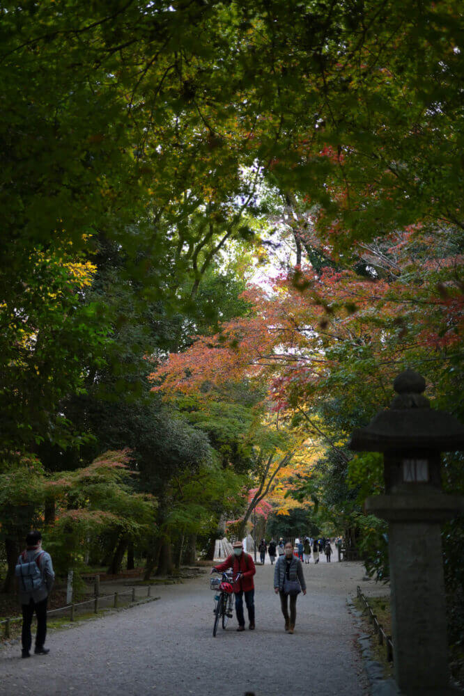 下鴨神社参道の紅葉