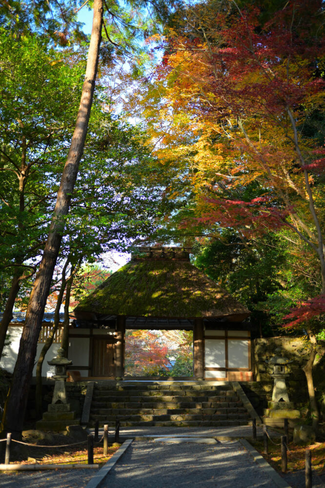 法然院の紅葉 2022年11月下旬