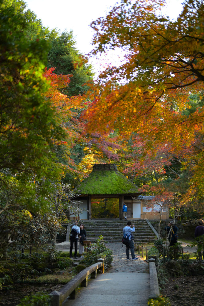 法然院の紅葉 2022年11月下旬