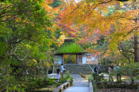 法然院の紅葉 2022年11月下旬撮影