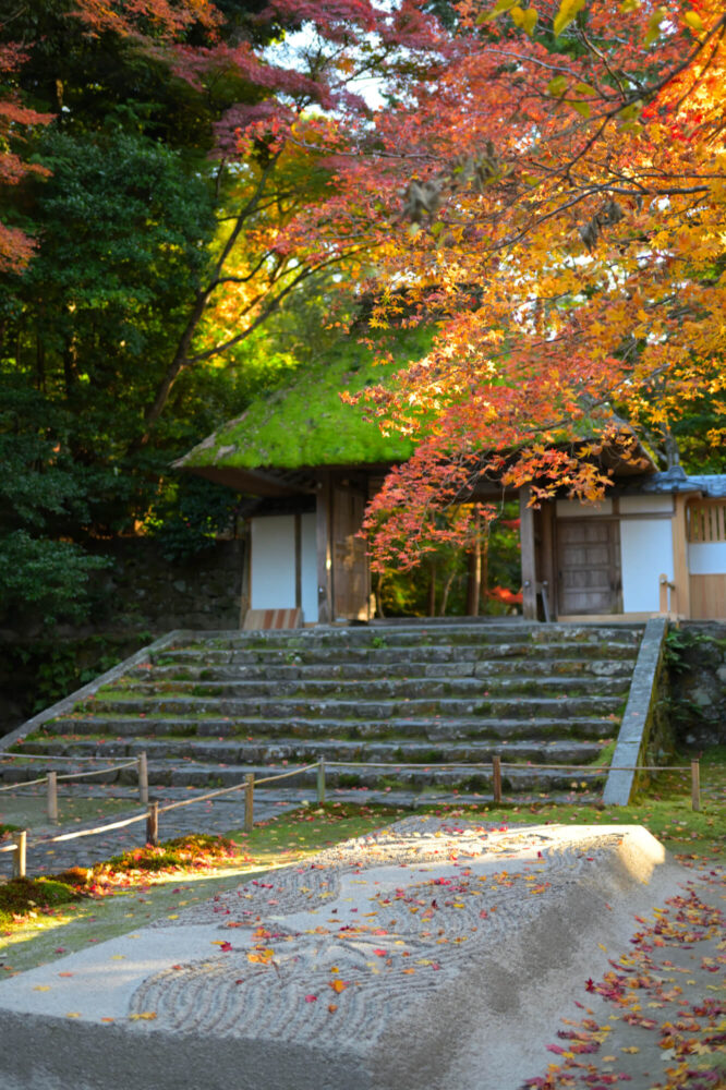 法然院の紅葉 2022年11月下旬