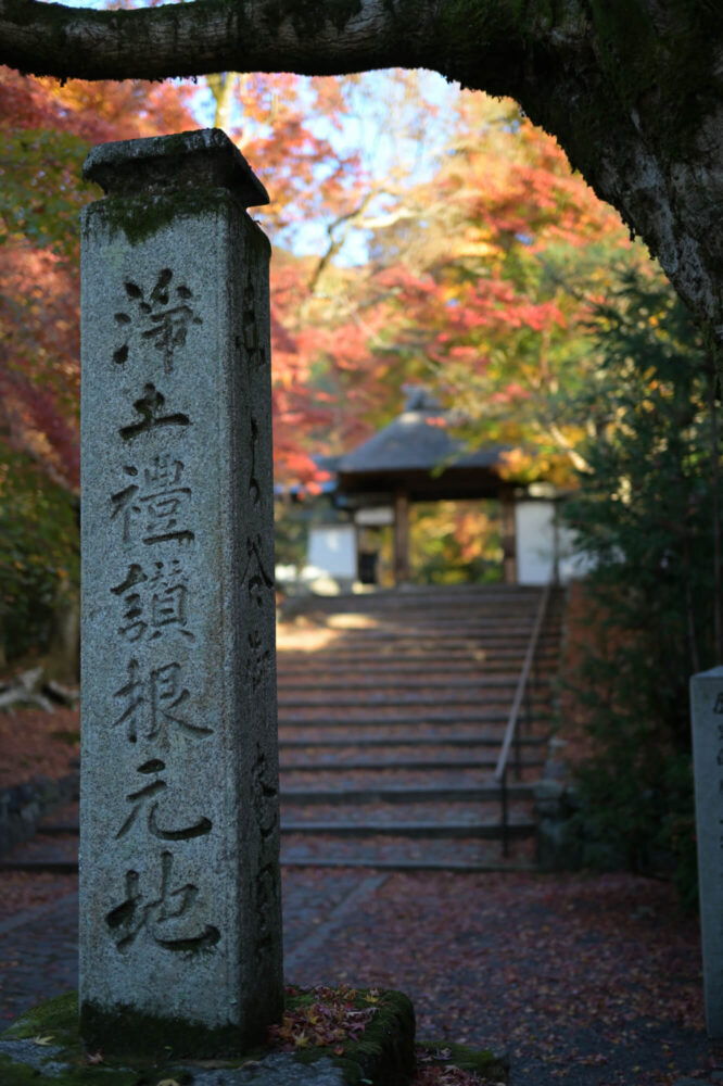 安楽寺の紅葉 2022年11月下旬撮影