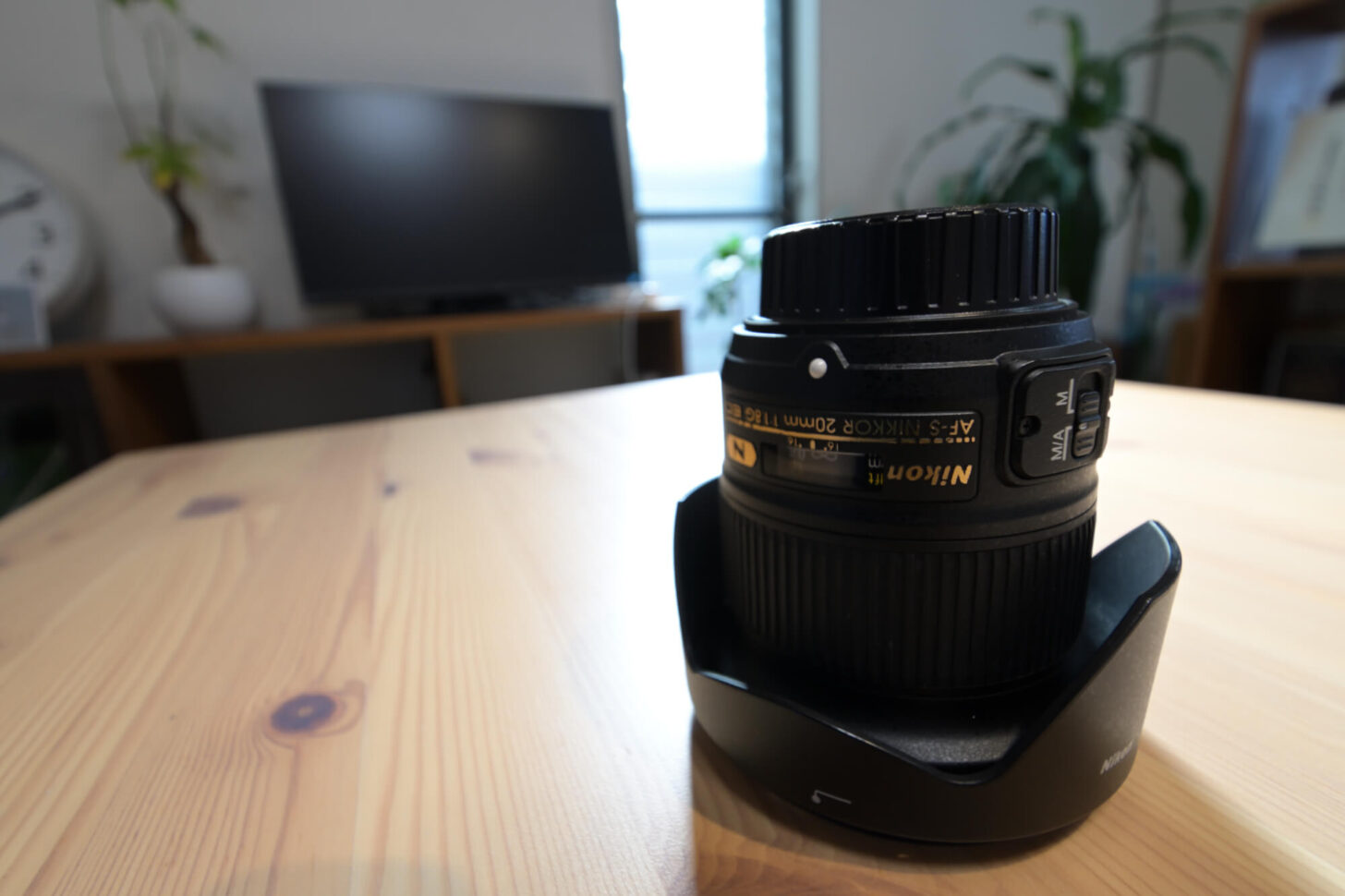 AF-P DX NIKKOR 10-20mm f/4.5-5.6G VR試し撮り