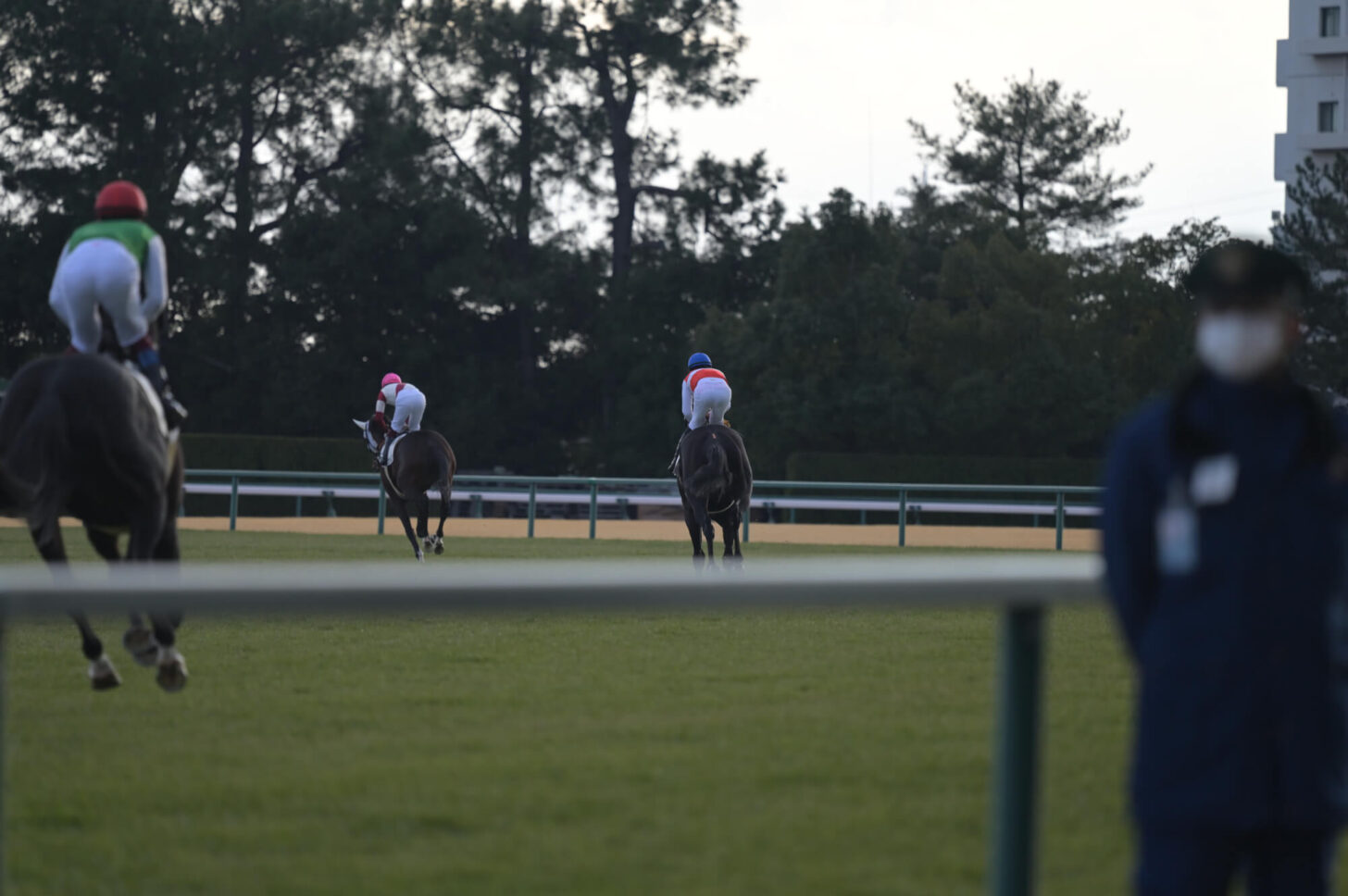 ショウナンアデイブ 11戦目本馬場入場