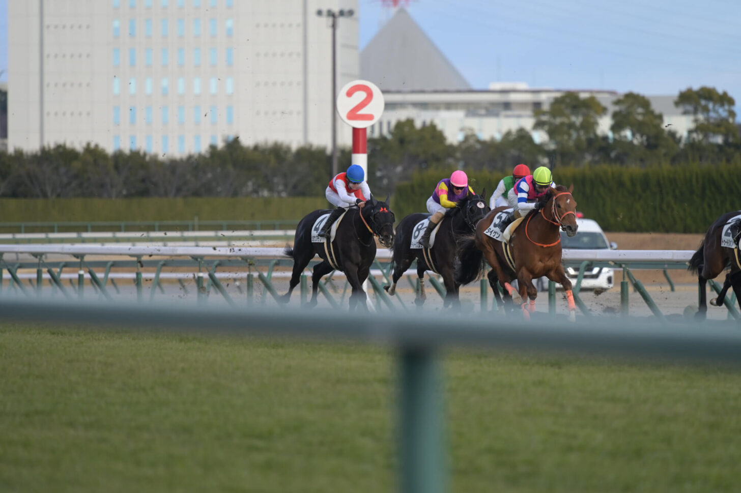 ショウナンアデイブ 11戦目