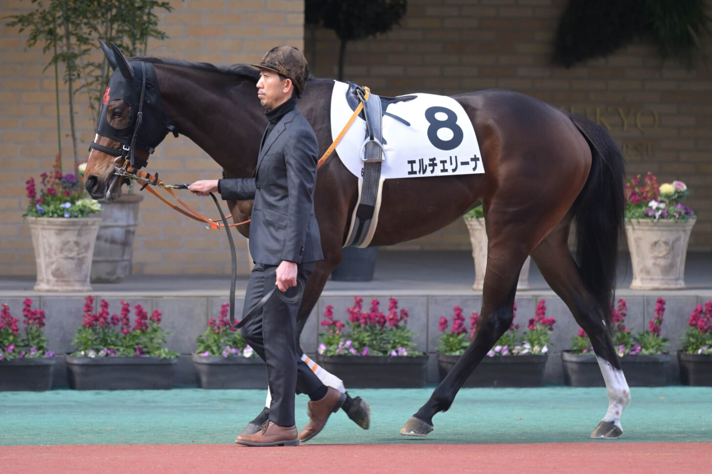 エルチェリーナ デビュー戦パドック