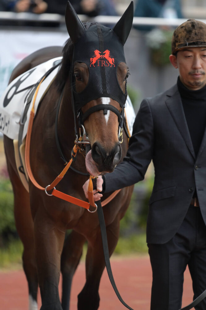 エルチェリーナ デビュー戦パドック