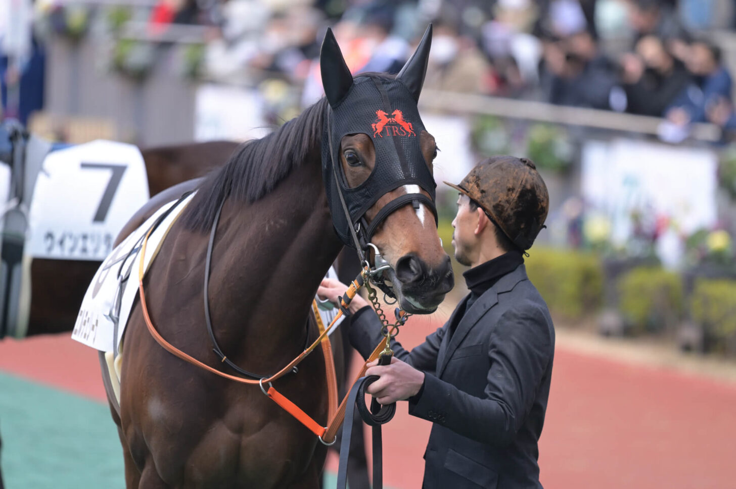 エルチェリーナ デビュー戦パドック