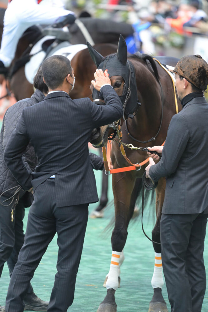 エルチェリーナ デビュー戦パドック