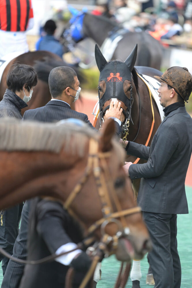 エルチェリーナ デビュー戦パドック