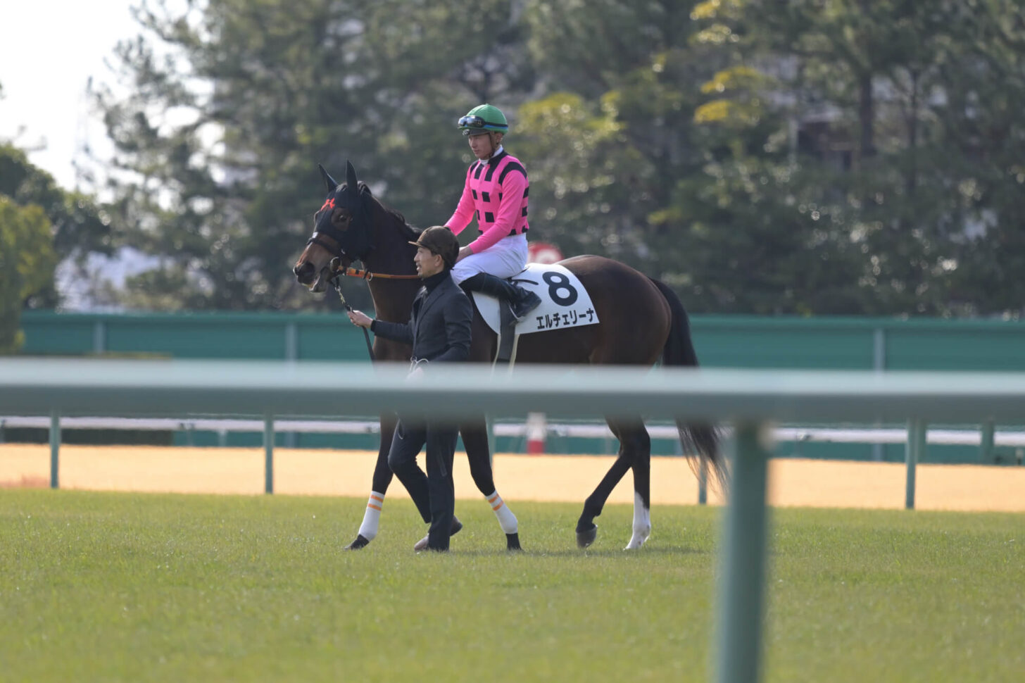 エルチェリーナ デビュー戦本馬場入場