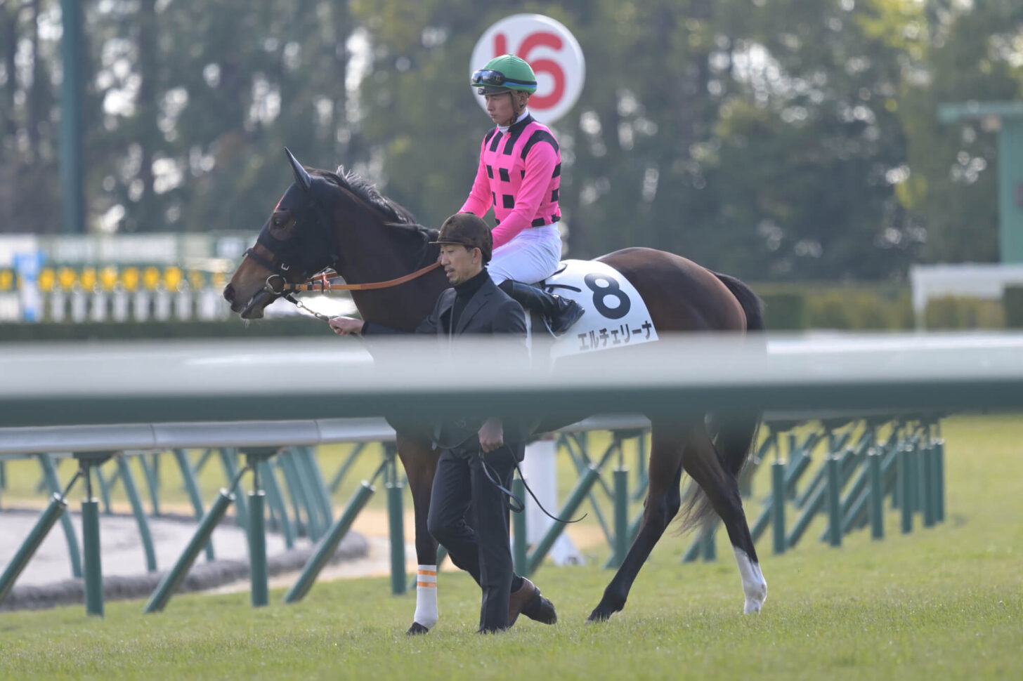 エルチェリーナ デビュー戦本馬場入場