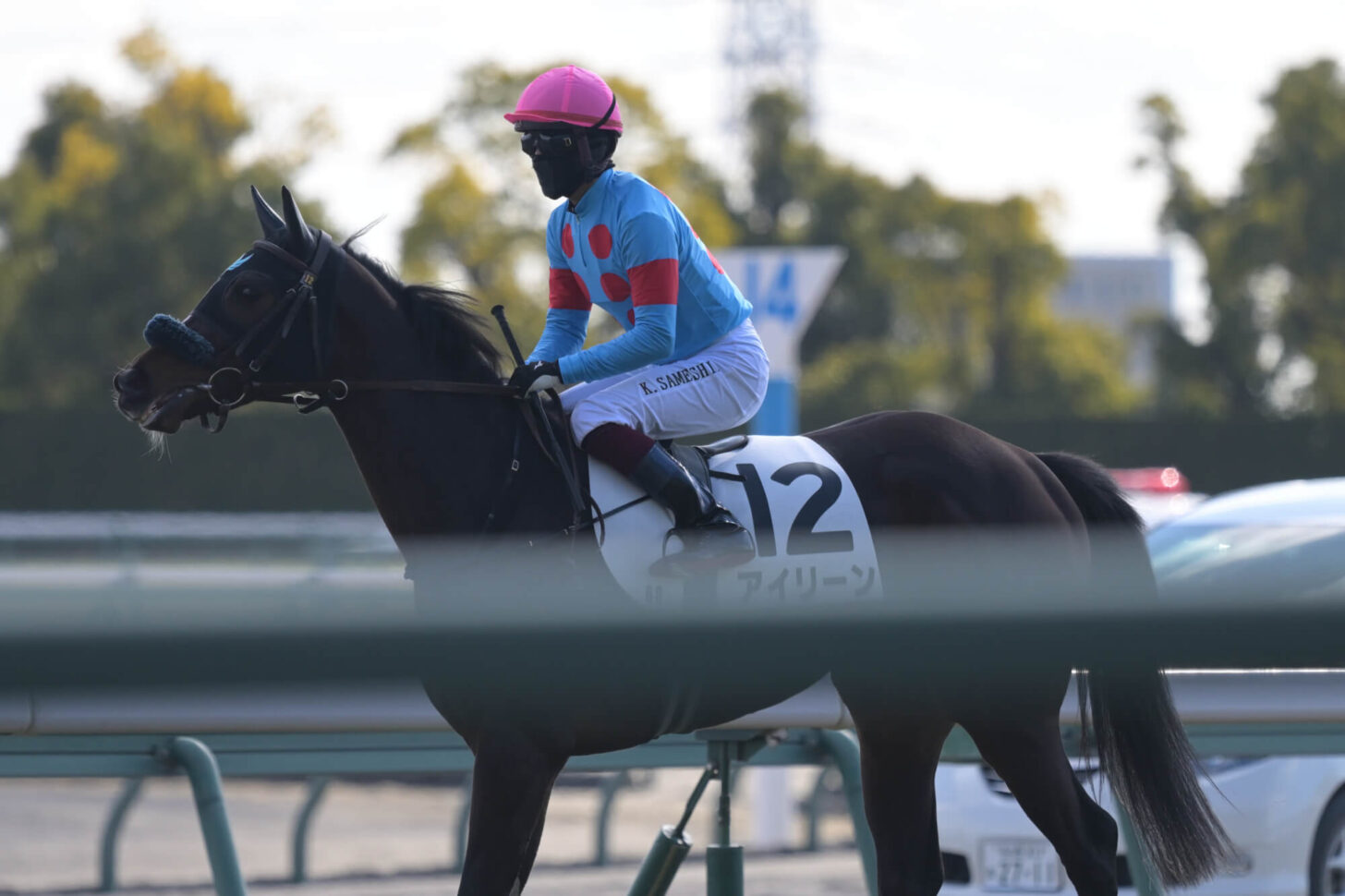 アイリーン デビュー戦本馬場入場