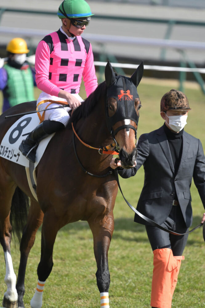 エルチェリーナ デビュー戦スタート直前の輪乗りにて