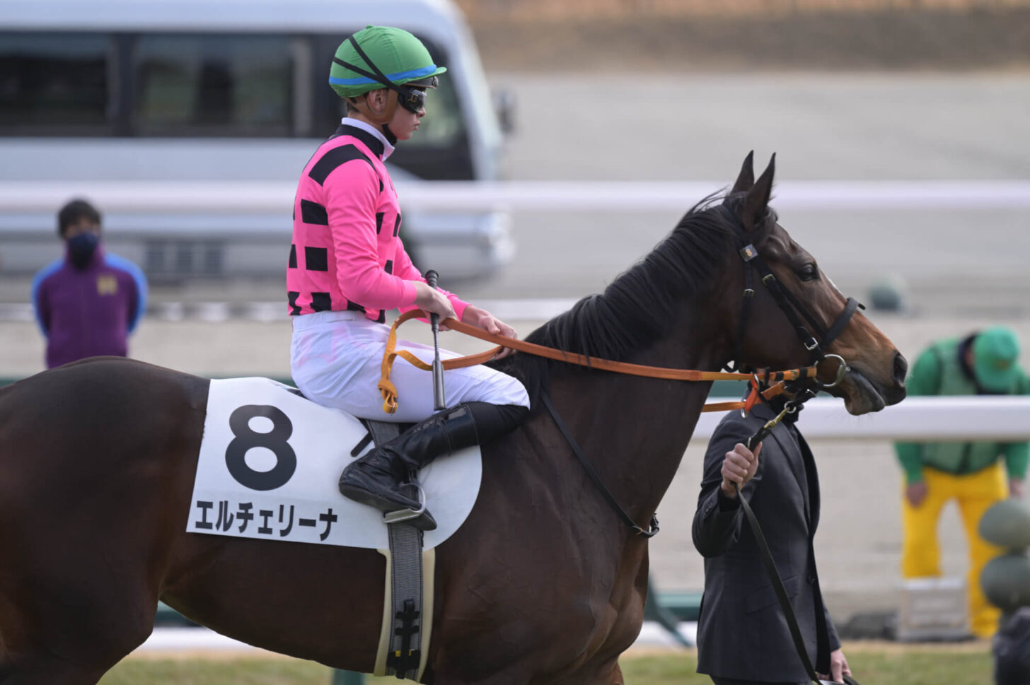 エルチェリーナ デビュー戦スタート直前の輪乗りにて