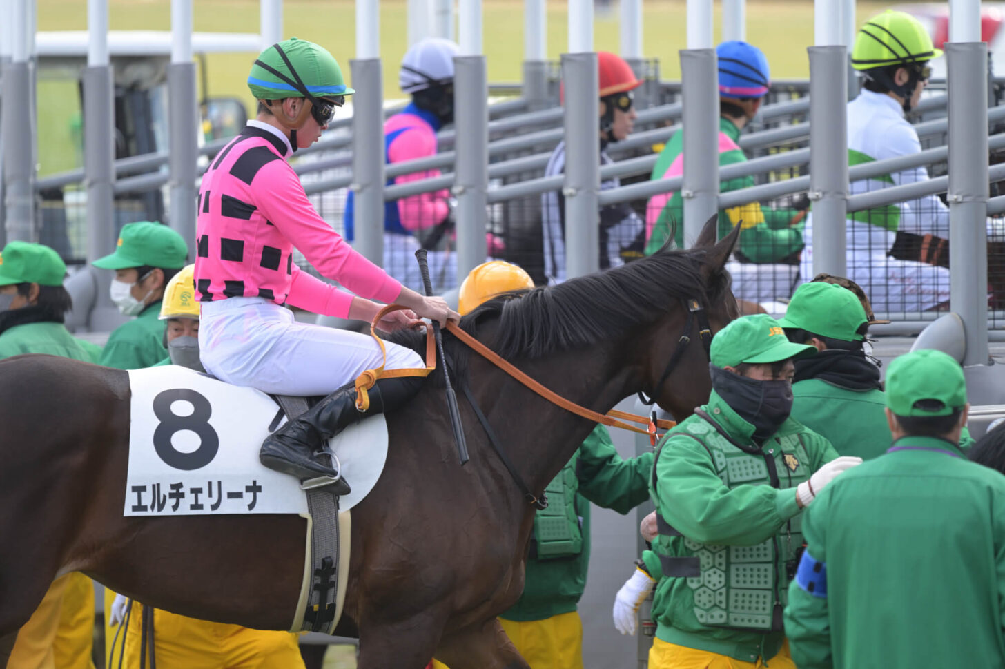 エルチェリーナ デビュー戦スタート直前の輪乗りにて