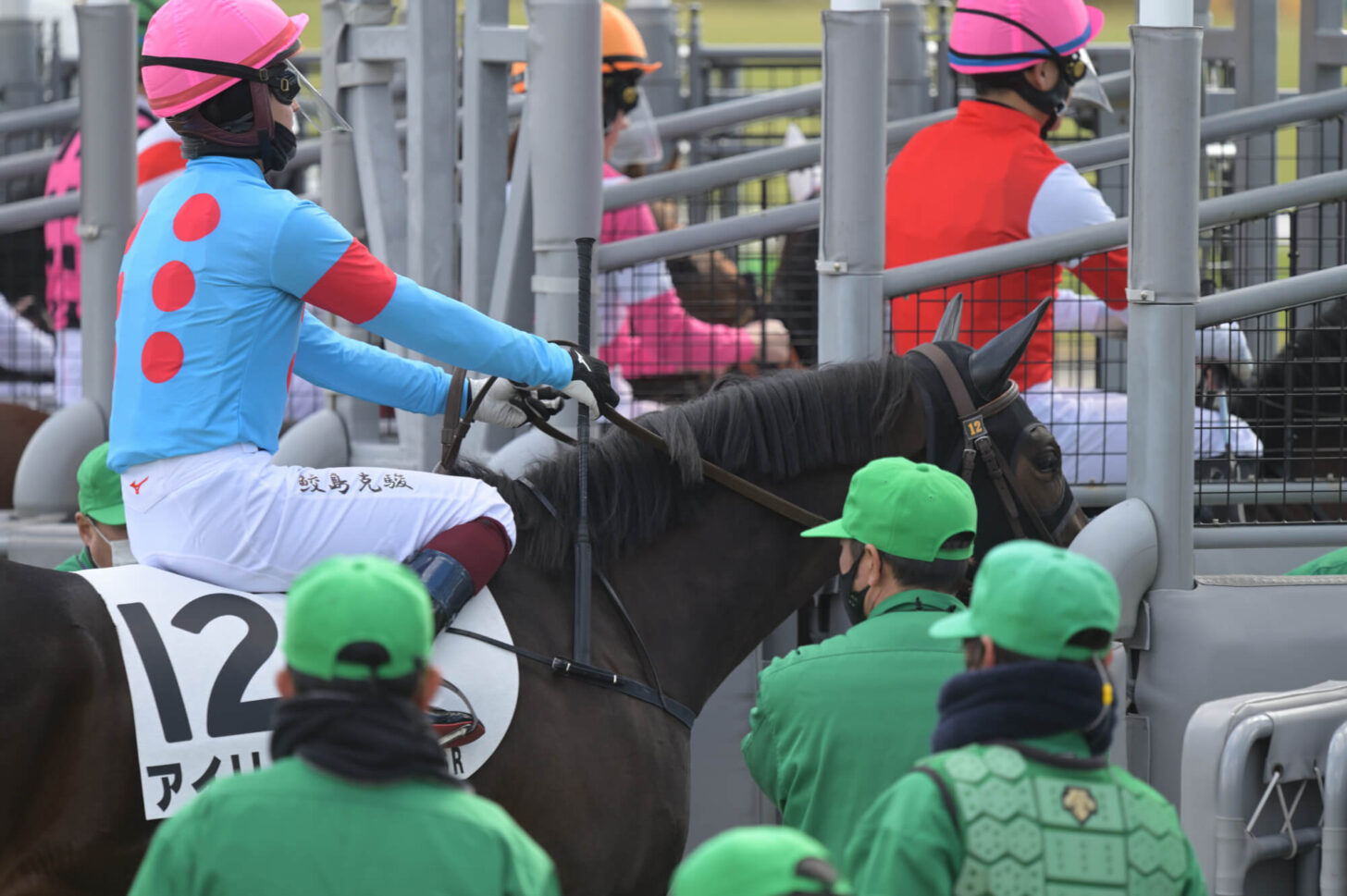 アイリーン デビュー戦スタート直前の輪乗りにて