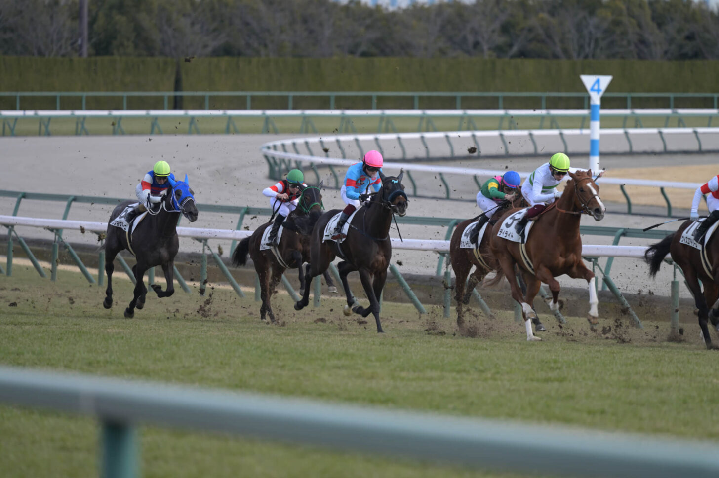 アイリーン デビュー戦最後の直線